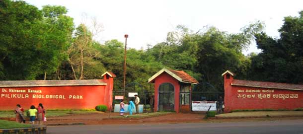 ಪಿಲಿಕುಳ ಮೃಗಾಲಯಕ್ಕೆ ವರ್ಷಾಂತ್ಯದಲ್ಲಿ ಹೊಸಬರ ಸೇರ್ಪಡೆ!